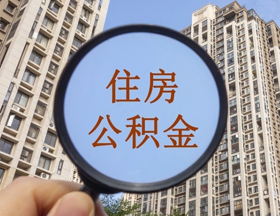 无为退休后查不到公积金明细了吗（退休后公积金查询不到原因）